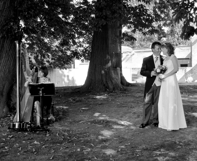 Bride, Groom and Harpist